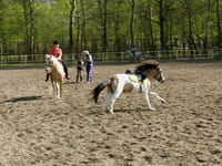 экскурсия в конно-спортивный клуб измайлово